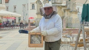 Der Bienenschwarm wurde von einem Experten entfernt.