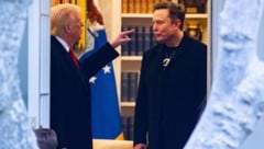 US-Präsident Donald Trump und Tech-Milliardär Elon Musk 