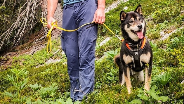 Bergretter konnten Hund „Bobby“ finden und befreien.