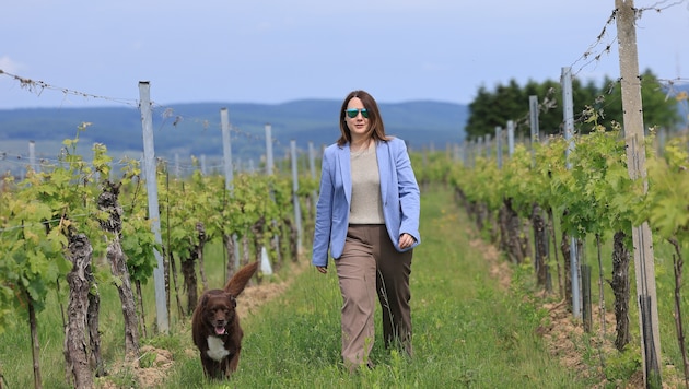 Lisa Kölly-Pfneisl steht seit Herbst an der Spitze des Weinbauverbandes Blaufränkischland.