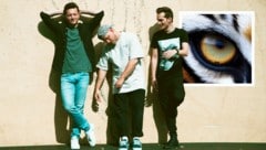 Die Tagträumer melden sich nach acht Jahren mit drittem Album „Tiger im Park“ am 13. Juni ...