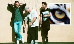 Die Tagträumer melden sich nach acht Jahren mit drittem Album „Tiger im Park“ am 13. Juni ...