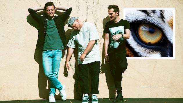 Die Tagträumer melden sich nach acht Jahren mit drittem Album „Tiger im Park“ am 13. Juni ...