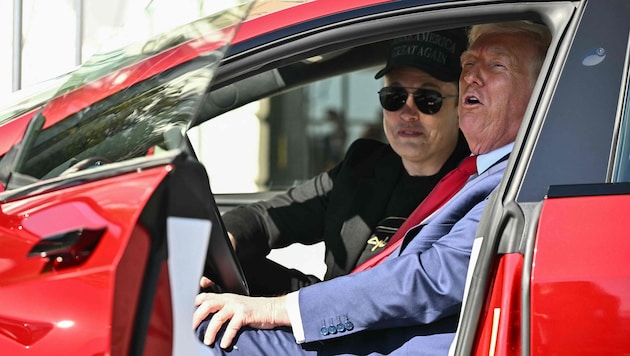 Die politischen Machenschaften von Tesla-Chef Elon Musk lassen die Aktie ins Bodenlose stürzen.