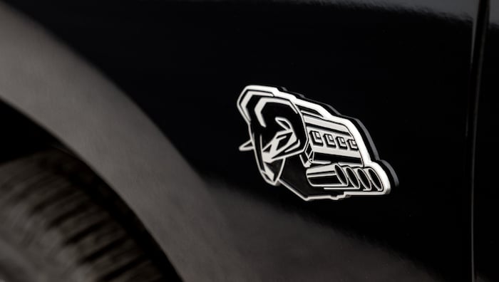 „Symbol of Protest Badge“