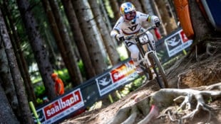 Vali Höll düste in der Quali zu Platz eins.