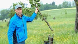 Josef Stirmayr mit einem abgeschnittenen Baum.