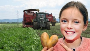 Ein Herz für heimische „Heurige“ hat auch die kleine Luisa. Sie entdeckte diesen raren ...