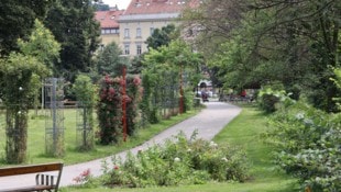 Im wegen Drogen und Kriminalität berüchtigten Grazer Volksgarten wollte am Samstag ein ...