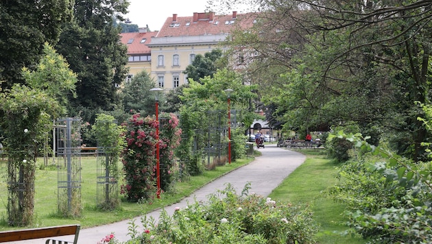 Im wegen Drogen und Kriminalität berüchtigten Grazer Volksgarten wollte am Samstag ein 36-Jähriger eine betagte Frau überfallen.