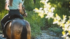 Die Reiterin wurde von ihrem Pferd abgeworfen worden und ist auf eine 83-jährige Spaziergängerin ...