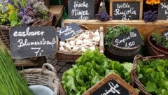 Der Bodenseeraum ist eines der wichtigsten Anbaugebiete für Obst und Gemüse in Mitteleuropa.