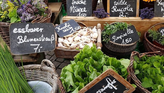 Der Bodenseeraum ist eines der wichtigsten Anbaugebiete für Obst und Gemüse in Mitteleuropa.
