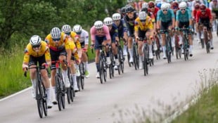 Der Team Vorarlberg-Express ist in diesem Jahr exzellent unterwegs und will noch mehr