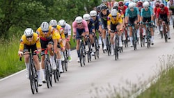 Der Team Vorarlberg-Express ist in diesem Jahr exzellent unterwegs und will noch mehr