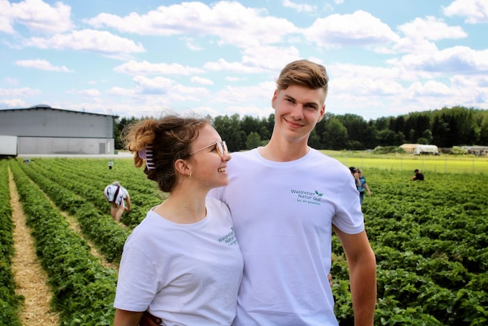 Auf dem Erdbeerfeld: Süßer Sommergruß von Kerstin und Matthias, die schon bald zum Früchtchen-Selberpflücken einladen.