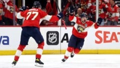 So jubeln Panthers aus Florida ...