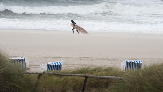 Ein Surfer in Sylt an der Nordsee