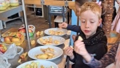 Schimmelt das Obst schon oder ist es noch genießbar? Die Kids lernen, die Qualität ...