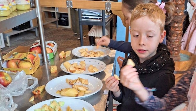 Schimmelt das Obst schon oder ist es noch genießbar? Die Kids lernen, die Qualität ...