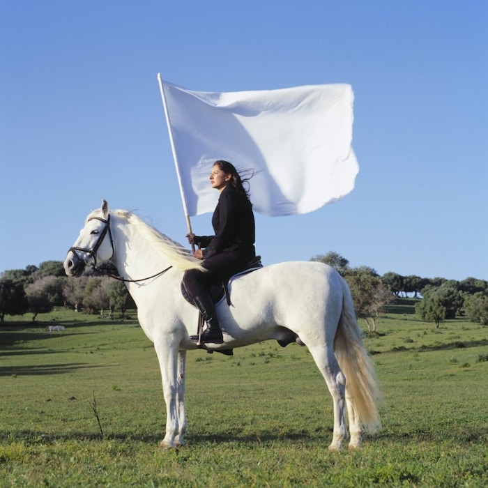 Die Ausstellung von Marina Abramović findet nun stattdessen in der Albertina statt.