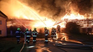 Acht Feuerwehren kämpften gegen den Brand.