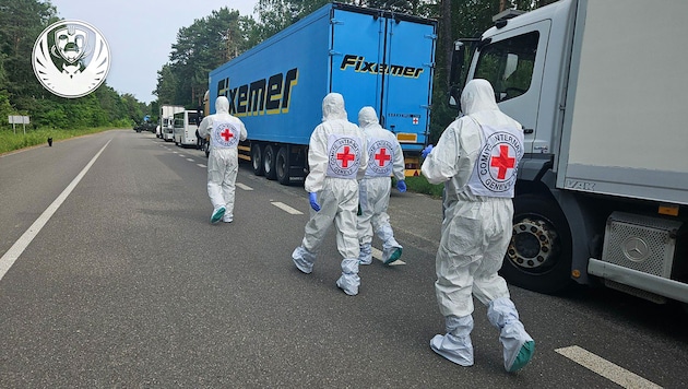 Vertreter des Internationalen Roten Kreuzes gehen an den Kühlwagen vorbei.