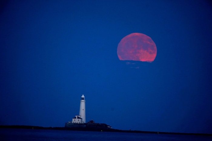 Der Erdbeermond über Großbritannien