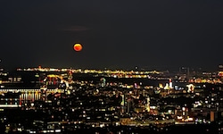 Der Erdbeermond über Wien
