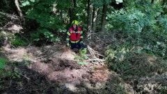 Der betagte Spaziergänger steckte in diesem Reisighaufen fest