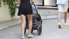 Ein Paar samt Kleinkind im Kinderwagen wurde am Dienstag in Graz von einem aggressiven, ...
