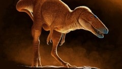 Der Vorfahre des Tyrannosaurus Rex bekam den Namen „Drachenprinz der Mongolei“. 