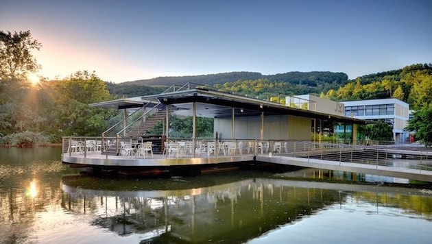 Der Uniteich gehört zum Bild des JKU Linz.