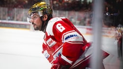 Ein neuer Stürmer für die Zeller Eisbären.