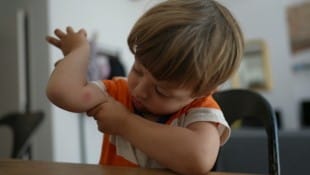 Die Gelse sticht zu: „Mama, ich hab da ein Aua.“