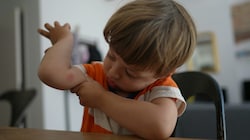 Die Gelse sticht zu: „Mama, ich hab da ein Aua.“