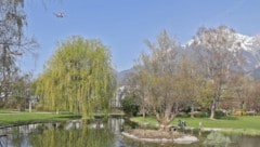 Der Vorfall ereignete sich im Rapoldipark.