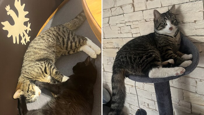 Seine Lieben möchten endlich wieder mit ihm kuscheln!