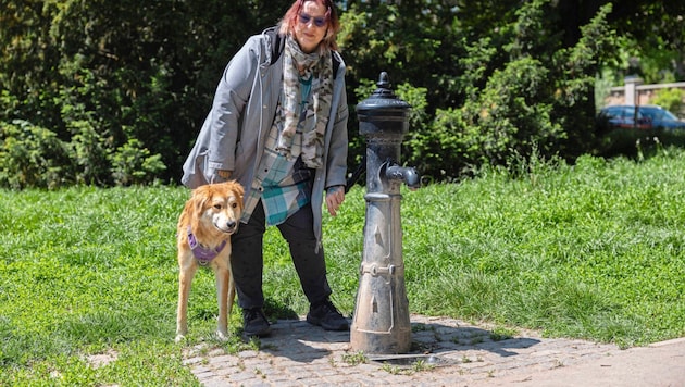 Der dreibeinige „Kenai“ kann endlich wieder Wasser schlabbern.