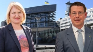 Die Grünen (hier Sprecherin Helga Krismer) und die Volkspartei-NÖ (Klubobmann Kurt Hackl) ...
