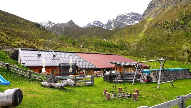 Die Neubergalm befindet sich auf einer Wiese vor den Gipfeln des Kaunergrats.