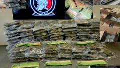 Bei zahlreichen Hausdurchsuchungen konnten mehr als 650.000 Euro an Bargeld, 124,5 Kilogramm an ...