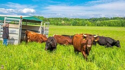 Raus in die Landschaft: Was dann passiert, fällt in das Kapitel Wissenschaft und Forschung.