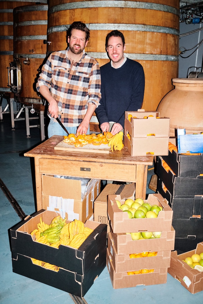 Die Früchte werden per Hand geschnitten – tonnenweise. 