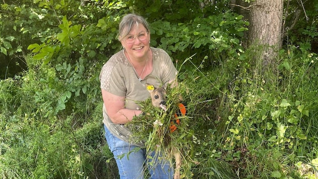 Ein Bettchen für ein Rehkitz hat Christa Tripp in einer Box nahe der Wiese hergerichtet.
