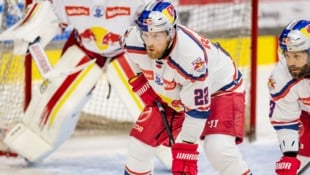 „Ähnlich wie Dennis Robertson“: Eisbullen suchen noch einen Verteidiger.
