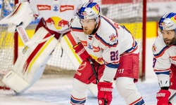 „Ähnlich wie Dennis Robertson“: Eisbullen suchen noch einen Verteidiger.