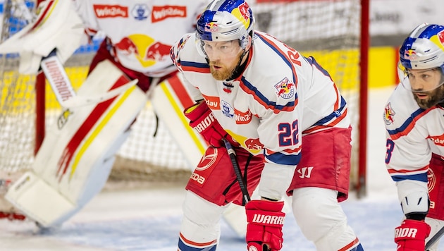 „Ähnlich wie Dennis Robertson“: Eisbullen suchen noch einen Verteidiger.