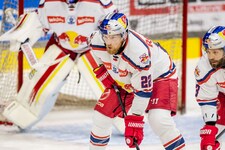 „Ähnlich wie Dennis Robertson“: Eisbullen suchen noch einen Verteidiger.