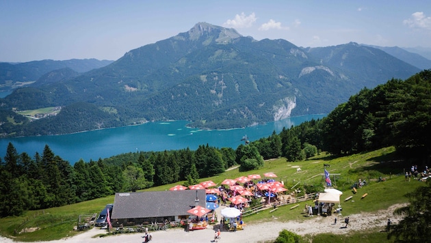 Auf der Lärchenhütte hat man Wolfgangsee und Schafberg immer im Blick